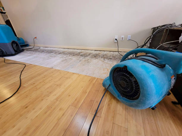 Professional Basement Flood Cleanup technician working in Stollings, WV